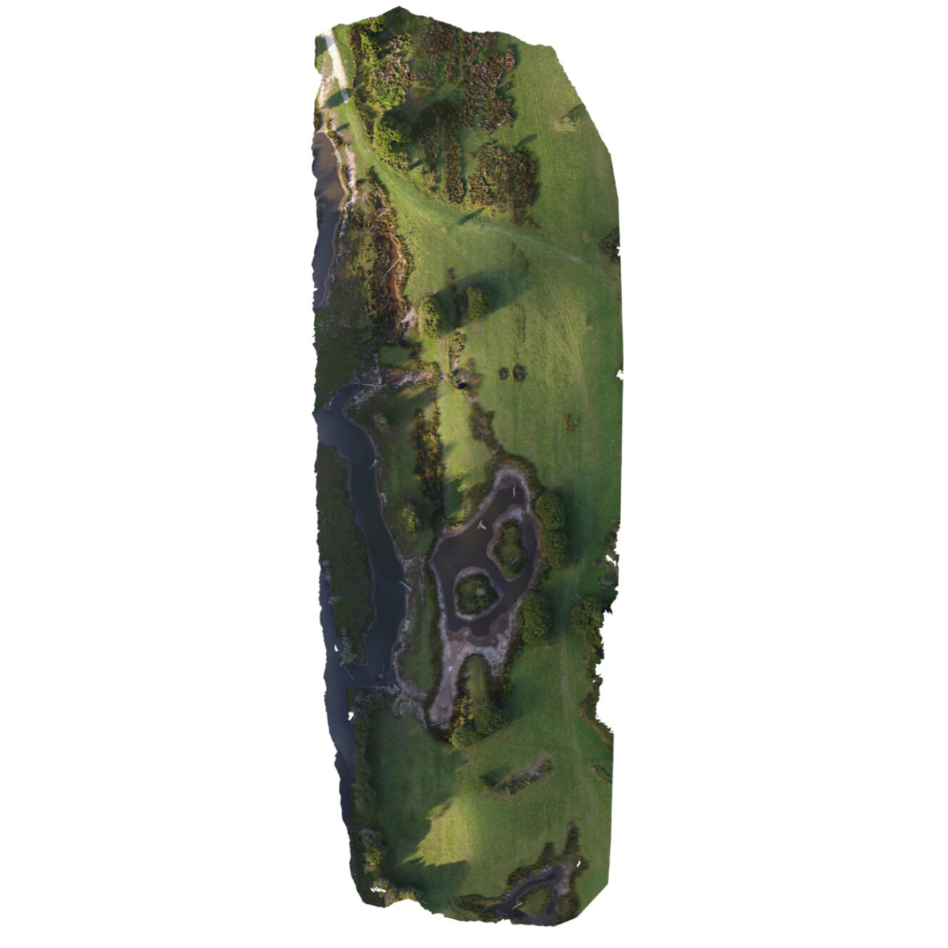 Inland Wetland